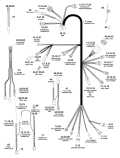 2011 25 - E25DRSIIS Electrical Harness, C, H, R, SSuffix parts diagram